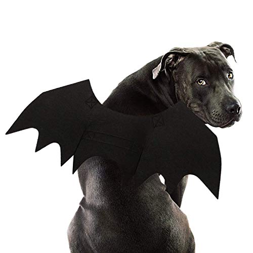 Rypet Hund Fledermaus Kostüm - Halloween Haustier Kostüm Fledermausflügel Cosplay Hundekostüm Katze Kostüm für Party L von Rypet