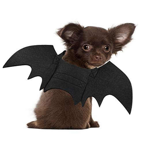 Rypet Katzen-Fledermaus-Kostüm – Halloween-Haustierkostüm Fledermausflügel Cosplay Hundekostüm Katze Kostüm für Party XS von Rypet