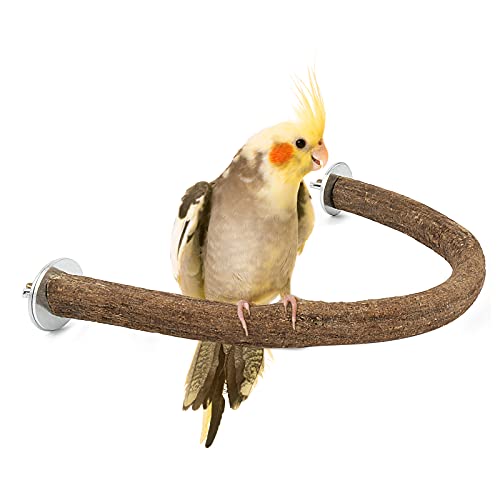 Rypet Parrot Bird Ständer Natur Holz Perch Swing, U Form, Large, Natur von Rypet