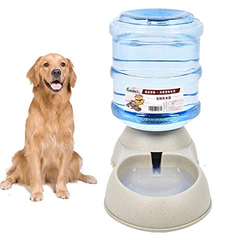 Automatischer Futterspender Futterspender Katze Kätzchen-Nahrungsmittelzufuhr Trockenfutterspender für Haustiere Katze-Brunnen-Schüssel Gray,Water Feeder von Rysmliuhan Shop