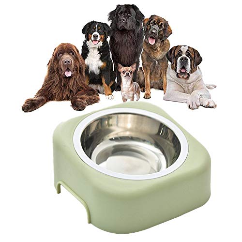 Futternapf Hund Katzennapf Hundenapf Edelstahl Katzenschalen Kunststoff Plastik Hundenäpfe rutschfeste Cat Bowl Hundefutter Und Wasserschüssel Green von Rysmliuhan Shop