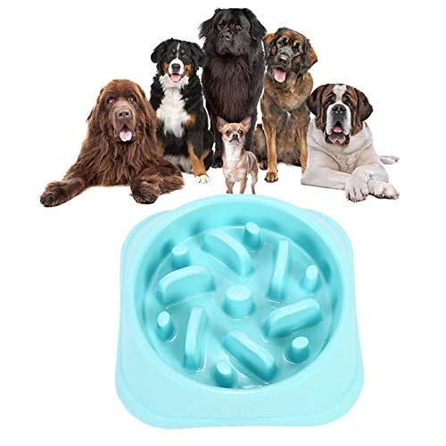 Futternapf Katze Futternapf Hund Ungiftige Puzzle Bowl rutschfeste Schüssel Welpenfutter Wet Bowl Spaß, der Hundenapf herumsucht Blue-c von Rysmliuhan Shop