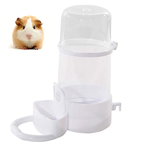 Futterspender Meerschweinchen Zubehoer Heimtierbedarf Kleintiere Meerschweinchen-Futternapf Eichhörnchen-Zufuhr Kleintierfutterautomat transparent von Rysmliuhan Shop