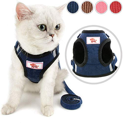 Hunde Leine Hundegeschirr Kleine Hunde Hundewestengeschirr Verstellbarer Hundegeschirr Hundeleine für kleine Hunde Hundegeschirr Kleiner Hund Blue,xs von Rysmliuhan Shop