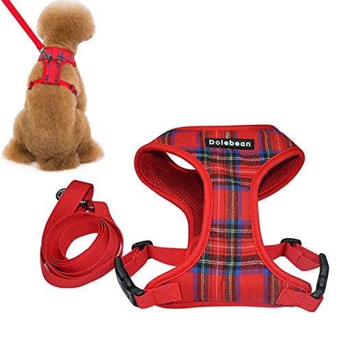 Hunde Leine Katzenleine Hundegeschirr führen Kleine Hundegeschirre Hundegeschirr Medium No Pull Hundegeschirr für mittlere Hunde Hundewestengeschirr red,m von Rysmliuhan Shop