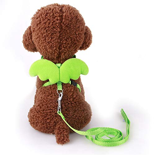 Hundegeschirr Hunde Leine Hundegeschirr und Bleisätze Hundewestengeschirr Kein Zuggurt für Hunde Katzengeschirr mit Blei Green,m von Rysmliuhan Shop