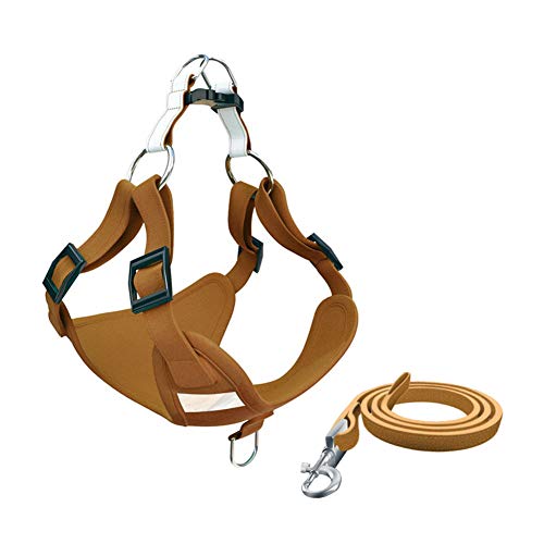 Hundegeschirr Hundegeschirr Kleine Hunde Hundegeschirr führen Hundegeschirr Medium No Pull Hundegeschirr für mittlere Hunde Katzengeschirr mit Blei 31,Brown von Rysmliuhan Shop