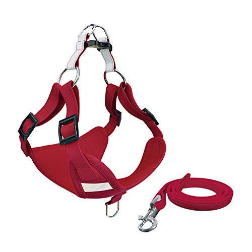 Hundegeschirr Hundegeschirr Kleine Hunde Hundegeschirr führen Hundegeschirr Medium No Pull Hundegeschirr für mittlere Hunde Katzengeschirr mit Blei 31,red von Rysmliuhan Shop