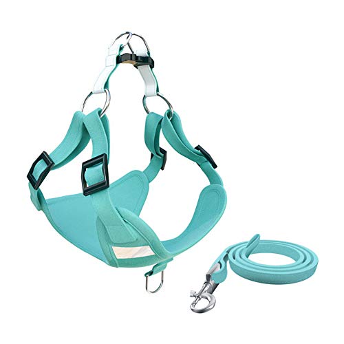 Hundegeschirr Hundegeschirr Kleine Hunde Hundegeschirr führen Hundegeschirr Medium No Pull Hundegeschirr für mittlere Hunde Katzengeschirr mit Blei 41,Green von Rysmliuhan Shop