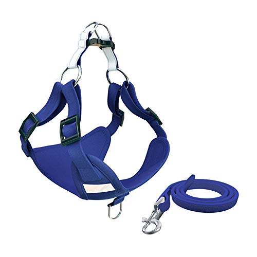 Hundegeschirr Hundegeschirr Kleine Hunde Hundegeschirr führen Hundegeschirr Medium No Pull Hundegeschirr für mittlere Hunde Katzengeschirr mit Blei 48,Blue von Rysmliuhan Shop