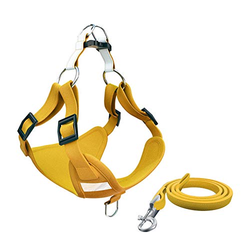 Hundegeschirr Hundegeschirr Kleine Hunde Hundegeschirr führen Hundegeschirr Medium No Pull Hundegeschirr für mittlere Hunde Katzengeschirr mit Blei 48,Yellow von Rysmliuhan Shop