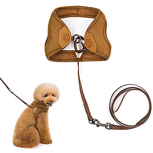 Hundegeschirr Katzenleine Hundeleine für kleine Hunde Welpengeschirr für kleine Hunde Hundegeschirr klein verstellbar Khaki,l von Rysmliuhan Shop