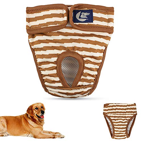 Hundewindel Hundewindeln RüDe Windeln Hundehosen Hundewindeln Weibliches Medium Hund Windeln männlich Hund Windel männlich Windeln Hunde Brown,l von Rysmliuhan Shop