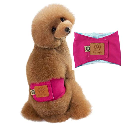 Hundewindeln FüR HüNdinnen Hundewindeln Hygienehosen für Hunde Windel Hundehosen Hundesaison Hose groß Windeln für Rüden Hundewindeln pink,m von Rysmliuhan Shop