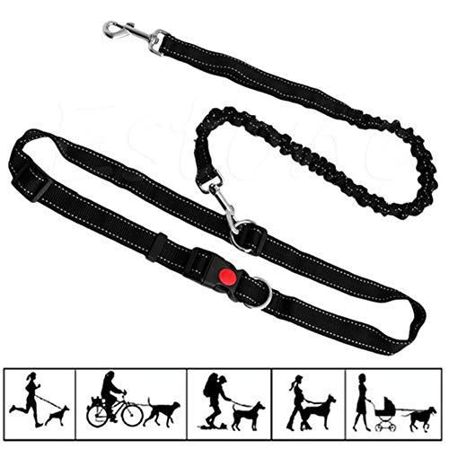 Joggingleine Hunde Hundeleine Kleine Hund Slip Lead für Hunde Hundeleine bequem Trainingsleitung für Hunde Anti-Pull-Hundeleine Leine für große Hunde Black von Rysmliuhan Shop