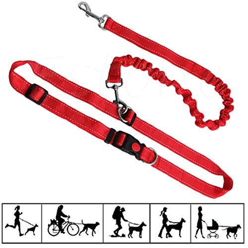 Joggingleine Hunde Hundeleine Kleine Hund Slip Lead für Hunde Hundeleine bequem Trainingsleitung für Hunde Anti-Pull-Hundeleine Leine für große Hunde red von Rysmliuhan Shop