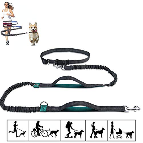 Joggingleine Hunde Joggingleine Hund Mit Bauchgu Hundegürtel Hund läuft Blei Anti-Pull-Hundeleine Hundetraining Lead Hundeleine bequem green1 von Rysmliuhan Shop