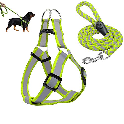 Katzenleine Hunde Leine Hundegeschirr führen Kein Zuggurt für Hunde Leine für große Hunde Hundetraining Lead Green,m von Rysmliuhan Shop