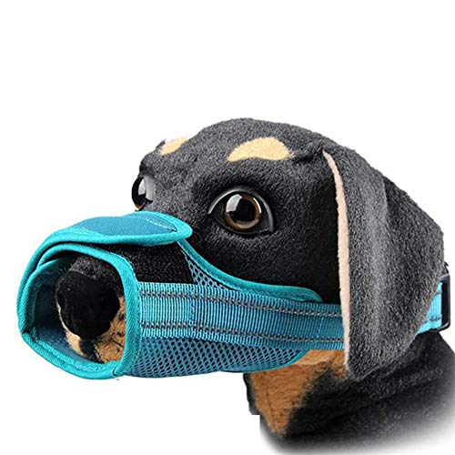 Maulkorb Kleine Hunde Maulkorb Für Große Hunde Maulkorb Für Mittelgroße Hunde Hund Mund Abdeckung Maulkorb Für Große Hunde Haustier Schnauze Green,m von Rysmliuhan Shop