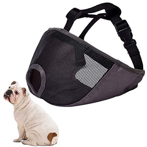 Maulkorb Mittlere Hunde Maulkorb Kleine Hunde Haustier Schnauze Maulkorb Für Kleine Hund Maulkorb Für Große Hunde Maulkörbe Zu Verhindern Essen Gray,m von Rysmliuhan Shop