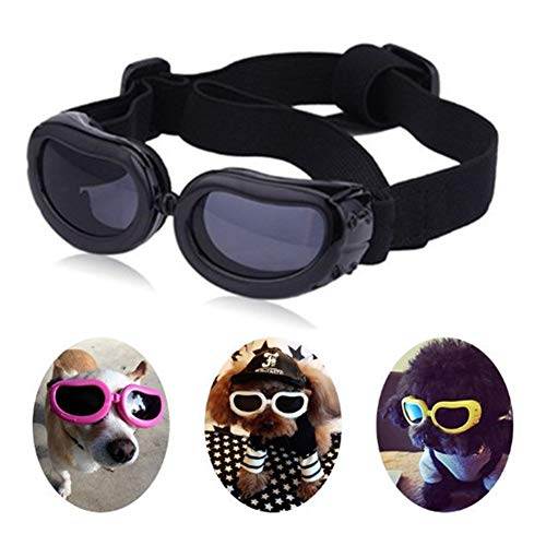 Rysmliuhan Shop Brille Hund Hundebrille Für Kleine Hunde Gläser für Katzen Welpen Sonnenbrille wasserdichte Hundebrille Faltbare Hundesonnenbrille UV-Brille für Hund Black von Rysmliuhan Shop