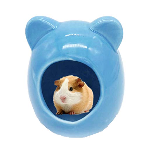 Rysmliuhan Shop Hamster hamsterkäfig Glas Guinea Pig Haus Gerbil Spielzeug Zwerg Hamster käfig Hamster zubehör Hamster 9.8cm,Blue von Rysmliuhan Shop