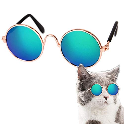 Rysmliuhan Shop Hunde Sonnenbrille Hundebrille Für Kleine Hunde Welpen Sonnenbrille Gläser für Katzen UV-Brille für Hund Faltbare Hundesonnenbrille Schutzbrille Green von Rysmliuhan Shop