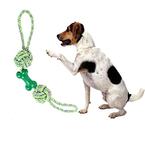 Rysmliuhan Shop Hunde Spielzeug für kleine Hunde Ball hundespielzeug unzerstörbar Hund kauen Spielzeug Welpen Hund Spielzeug für langeweile Green von Rysmliuhan Shop