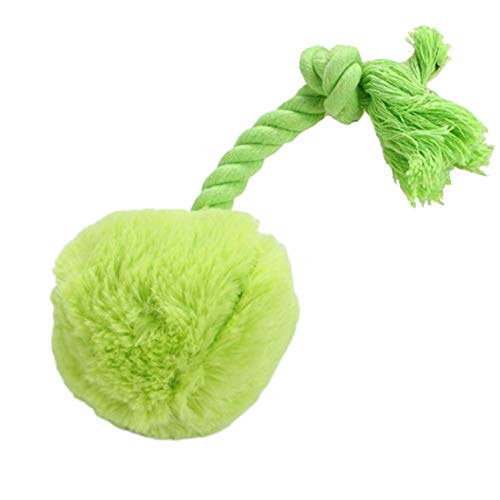 Rysmliuhan Shop Hundespielzeug Quietscher Welpenspielzeug Hund Welpe Plüschtier Hund Soft Toys für kleine Hunde Quietschender Hundeball Tough Dog Toys Random Color von Rysmliuhan Shop