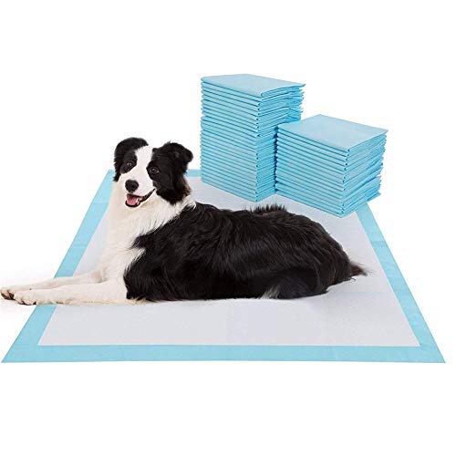 Rysmliuhan Shop Hundewindeln Für Hündinnen Inkontinenz Inkontinenzunterlage Hund Pee Pad Windel Hunde-Inkontinenz-Pads Leckfreie Welpenauflagen Hundewindeln m-50pcs von Rysmliuhan Shop