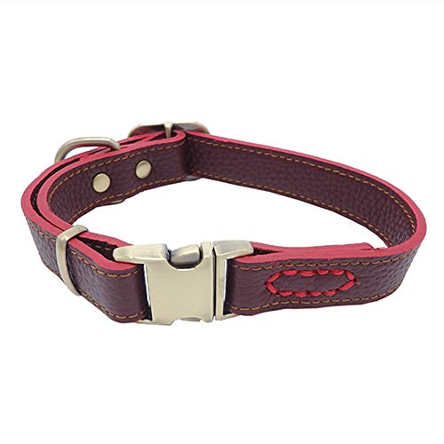 Rysmliuhan Shop Katzenhalsband HalsbäNder FüR Hunde Led Hund Halsbänder Hund Halsbänder Leder Leder Hund Halsbänder Hund Halsbänder Led Hunde Halsbänder Medium,Wine red von Rysmliuhan Shop