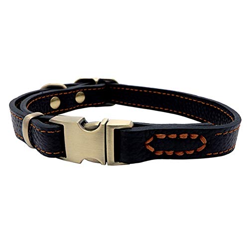 Rysmliuhan Shop Katzenhalsband HalsbäNder FüR Hunde Led Hund Halsbänder Hund Halsbänder Leder Leder Hund Halsbänder Hund Halsbänder Led Hunde Halsbänder Small,Black von Rysmliuhan Shop