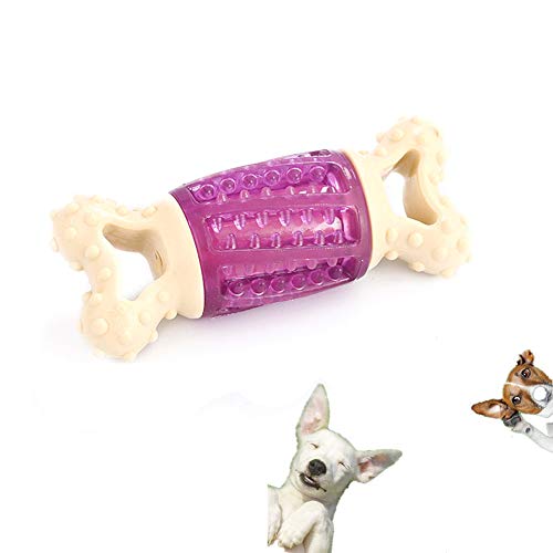 Rysmliuhan Shop hundespielzeug Ball welpenspielzeug Set Welpen Spielzeug von 8 wochen Interaktive Hund Spielzeug Hund kaut Lange anhaltende natürliche Purple von Rysmliuhan Shop