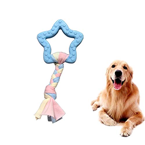 Rysmliuhan Shop hundespielzeug für kleine Hunde Intelligenz welpenspielzeug Hund Hund kaut Welpen Spielzeug von 8 wochen Tough Hund Spielzeug Hund kauen Star,Blue von Rysmliuhan Shop