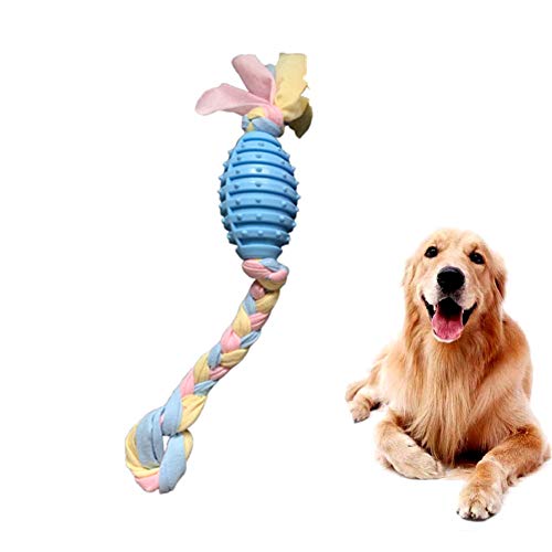 Rysmliuhan Shop hundespielzeug für kleine Hunde Intelligenz welpenspielzeug Hund Hund kaut Welpen Spielzeug von 8 wochen Tough Hund Spielzeug Hund kauen olivetype,Blue von Rysmliuhan Shop