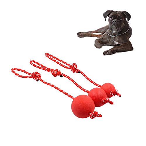 Rysmliuhan Shop kauknochen Hunde groß hundespielzeug große Hunde Geweih kaut für Hunde Welpen kaut Kauen für Hund Hund Spielzeug für langeweile von Rysmliuhan Shop