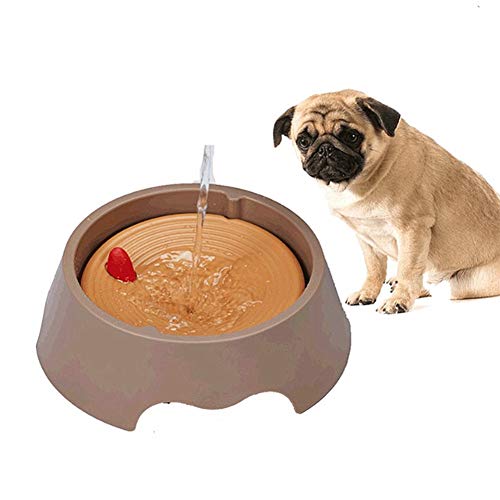 Wassernapf Katzen Futternapf Hund Große Hundenapf Katzen-Hundetrinknapf Raised Cat Bowl Wasserfontäne Cat Bowl Welpenschalen Rosa Hundenapf orange von Rysmliuhan Shop