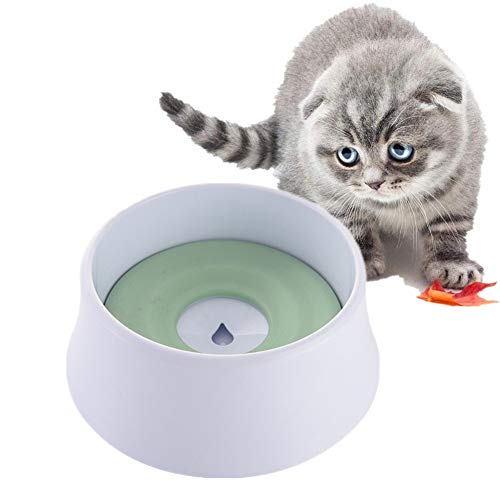 Wassernapf Katzen Futternapf Hund Katze-Schüssel Große Hundenapf Katzenschalen Kunststoff rutschfeste Cat Bowl Katzen-Hundetrinknapf Green von Rysmliuhan Shop