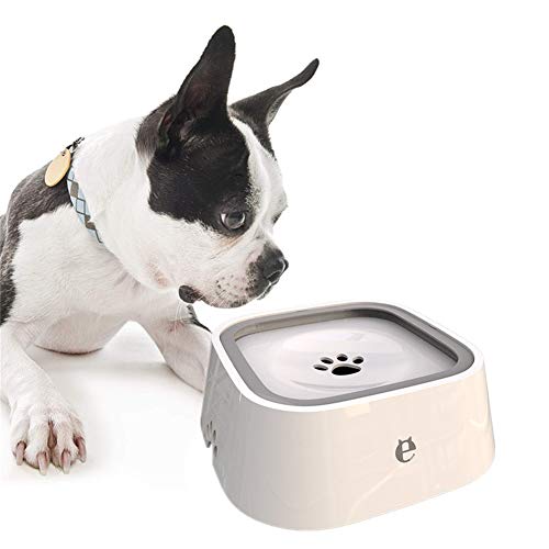 Wassernapf Katzen Futternapf Hund Raised Cat Bowl Hundenäpfe rutschfest Welpenschalen klein Flache Katze Schüssel Haustierschalen Für Katzen White von Rysmliuhan Shop