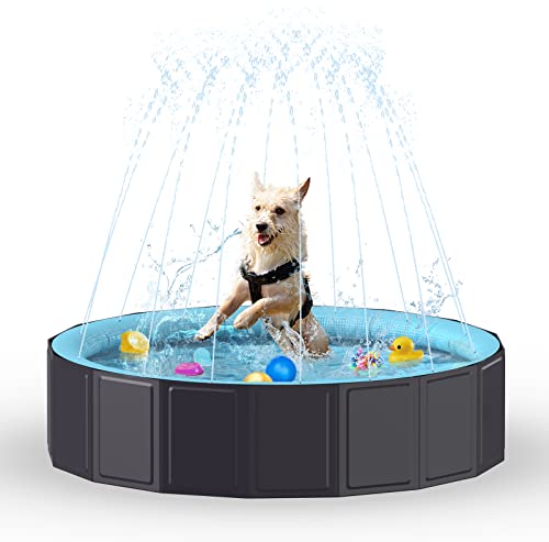 Rywell Hundepool für Große Hunde - Faltbare Schwimmbecken mit Sprinkler, PVC langlebig Planschbecken für Kinder, Hunde und Baby, Sicher & Umweltfreundlich Hundebadewanne - S (80cm) von Rywell