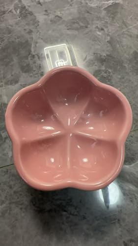 S&Q's CERAMICS Erhöhter Katzennapf, erhöhter Katzennapf für Futter und Wasser, Keramik-Katzennapf, Anti-Erbrochenes und Schnurrhaar, mikrowellen- und spülmaschinenfest (Rosa, 14,7 cm) von S&Q'S CERAMICS