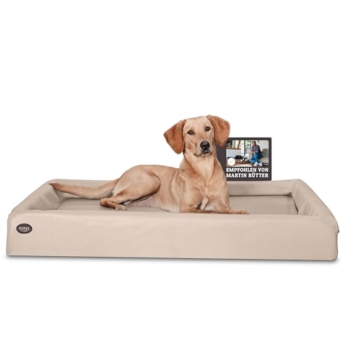 SABRO KUDDE Orthopädisches Hundebett – Martin Rütter – Hochwertiges Kunstleder – Waschbar & Wasserabweisend – Ergonomisch – Premium Haustierzubehör für Mittelgrosse, Grosse Hunde L in Beige von SABRO