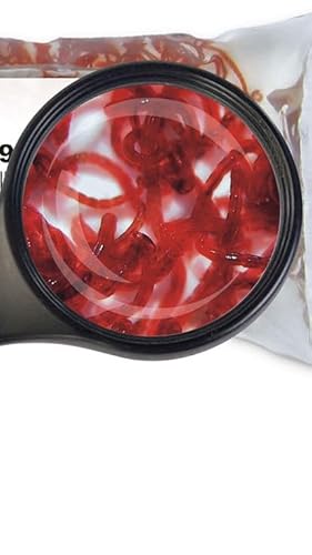 Lebendfutter Fischfutter SAHAWA 10 x 90ml Rote Mückenlarven und 10 x 90 ml Weiße Mückenlarven von SAHAWA