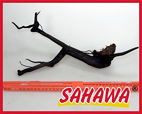 SAHAWA® Moorwurzel Größe 6 50-60 cm, Moorkienwurzel,rote Moorwurzel, Moorkienholz, Garnelenbaum von SAHAWA