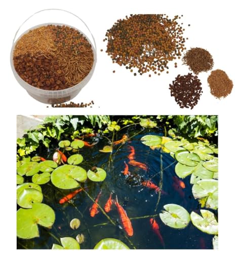 Teichfutter im Eimer für Teichfische, Verschiedene Sorten für Goldfische, Kois, mit Sticks, Flocke, Goldfischperlen, Koipellets (3,5 L Eimer, Koifutter mit Naturfutter) von SAHAWA