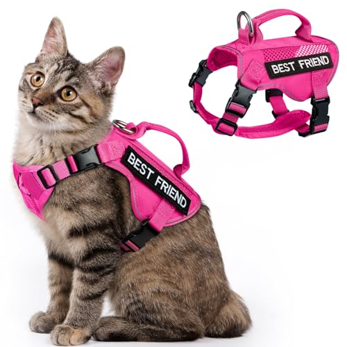 SALFSE Taktisches Katzengeschirr mit Leine, Air-Mesh-Geschirr für Katzen, ausbruchsicher, reflektierend, große Katzengeschirr mit Griff für erwachsene dicke Katzen (Rosa, XL) von SALFSE