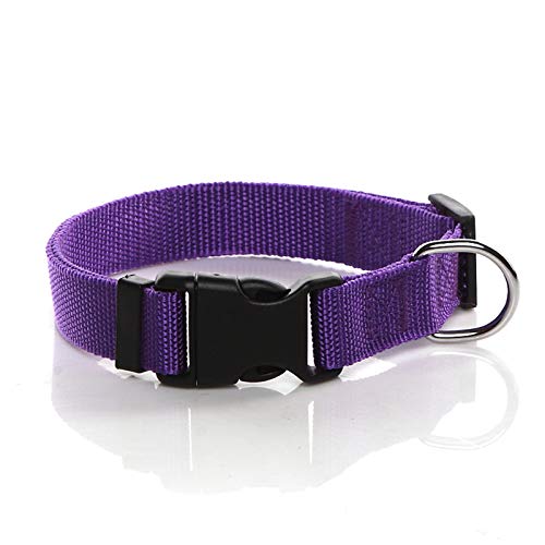 Hundehalsband, Nylon, verstellbar, für mittelgroße und große Hunde, 2,5 cm breit, Violett von SALO