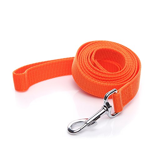 Nylon-Hundeleine, 1,8 m, 1,8 m lang, für mittelgroße und große Hunde, 2,5 cm breit, Orange von SALO