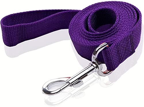 Nylon-Hundeleine, 1,8 m, 1,8 m lang, für mittelgroße und große Hunde, 2,5 cm breit, Violett von SALO