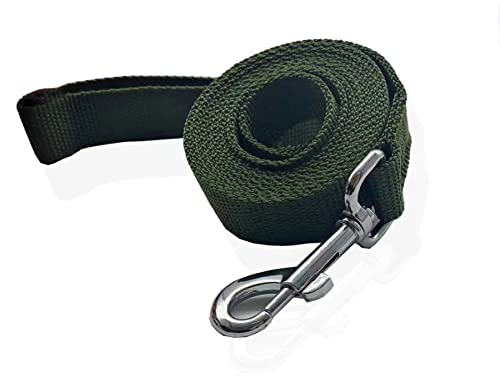 Nylon-Hundeleine, 2,5 m lang, für mittelgroße und große Hunde (2,5 cm x 3,6 m, Grün) von SALO